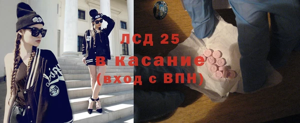 шишки Алексин