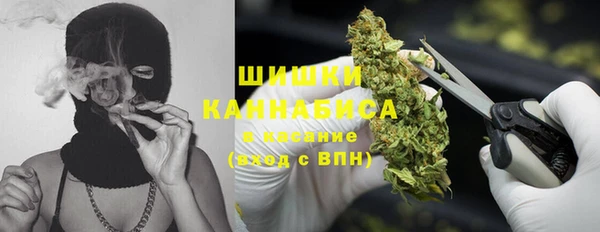 шишки Алексин