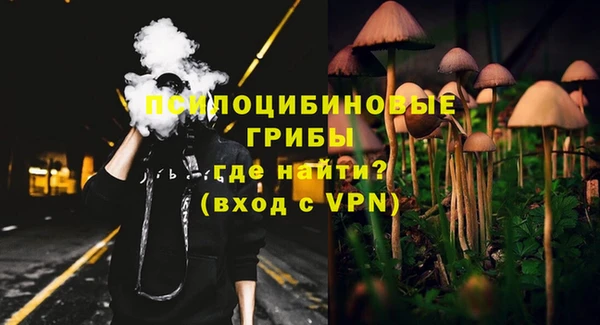 прущая мука Алзамай